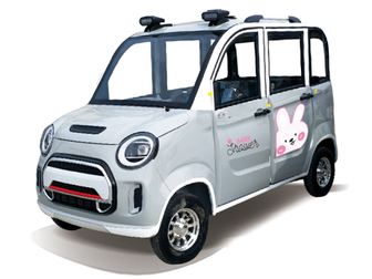 Electric car adult mini electric car