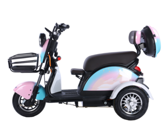 E-Trike-M6